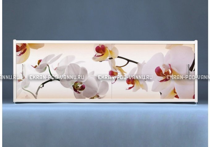 Раздвижной ФОТО экран - Orchid – купить по цене 8500 руб. в интернет-магазине в городе Омск картинка 1