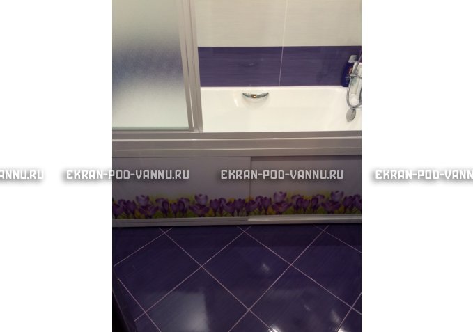 Экран на роликах EUROPLEX  Ирисы – купить по цене 12400 руб. в интернет-магазине в городе Омск картинка 4