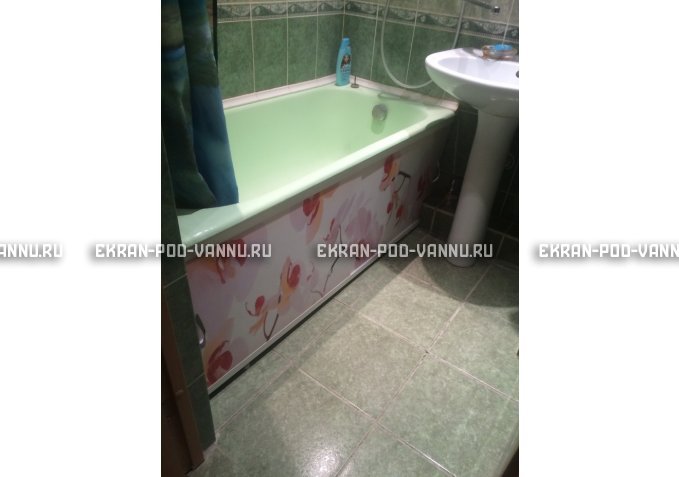 Раздвижной ФОТО экран - Orchid – купить по цене 8500 руб. в интернет-магазине в городе Омск картинка 5