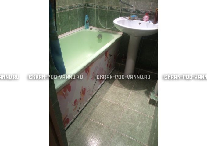 Раздвижной ФОТО экран - Orchid – купить по цене 8500 руб. в интернет-магазине в городе Омск картинка 6
