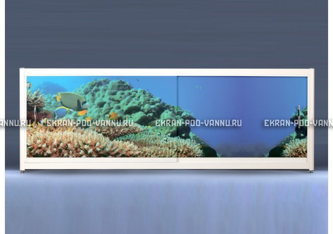 Экран на роликах EUROPLEX Коралловые рифы – купить по цене 12400 руб. в интернет-магазине в городе Омск картинка 1